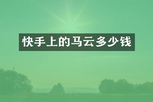 快手上的马云多少钱