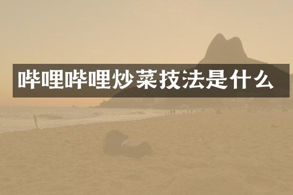 哔哩哔哩炒菜技法是什么