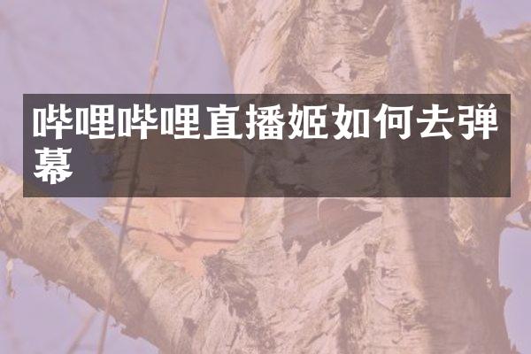 哔哩哔哩直播姬如何去弹幕