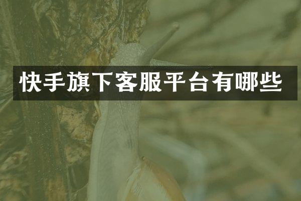 快手旗下客服平台有哪些