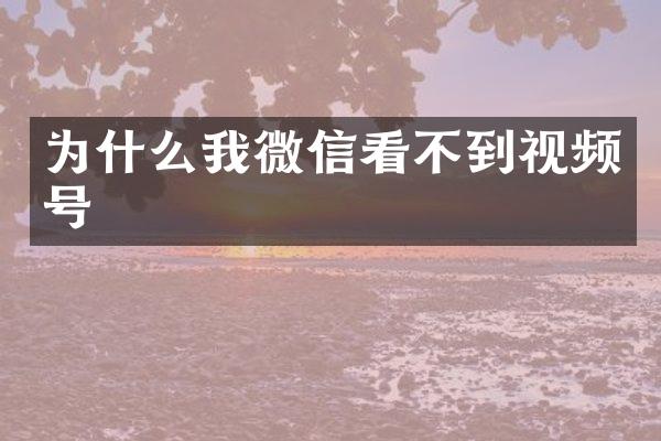 为什么我微信看不到视频号