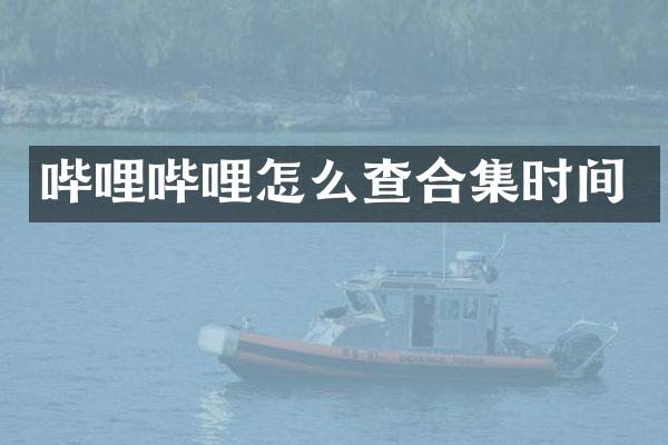 哔哩哔哩怎么查时间