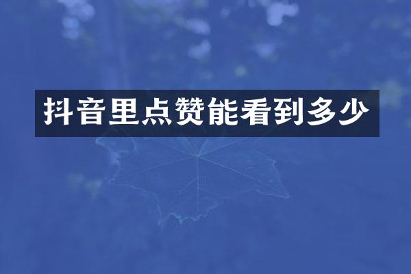 抖音里点赞能看到多少