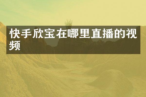 快手欣宝在哪里直播的视频