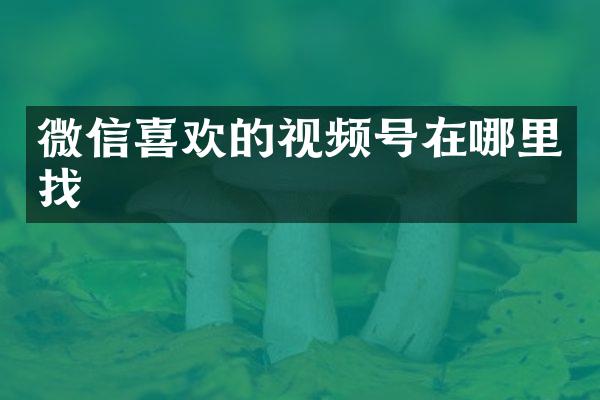 微信喜欢的视频号在哪里找