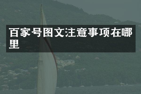 百家号图文注意事项在哪里