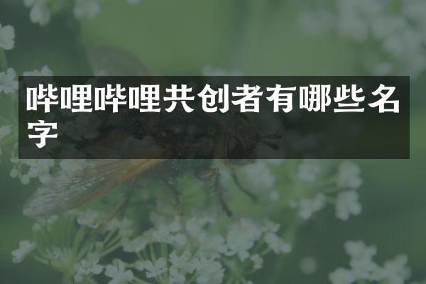 哔哩哔哩共创者有哪些名字