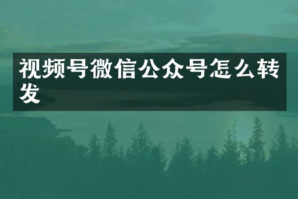 视频号微信公众号怎么转发