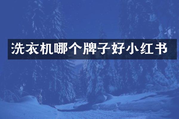 洗衣机哪个牌子好小红书