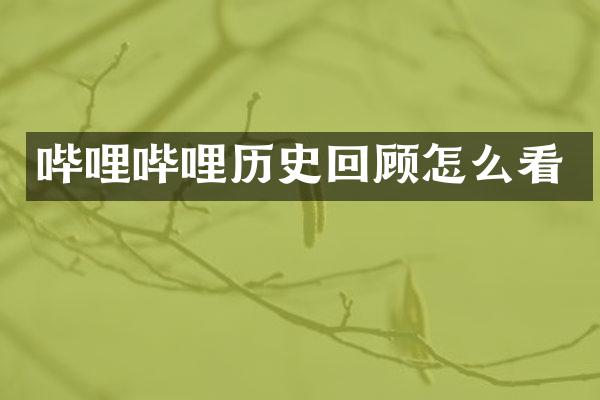哔哩哔哩历史回顾怎么看