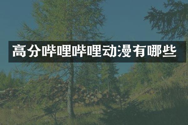 高分哔哩哔哩动漫有哪些