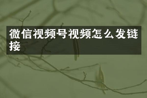 微信视频号视频怎么发链接