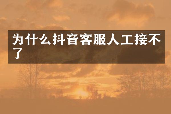 为什么抖音客服人工接不了