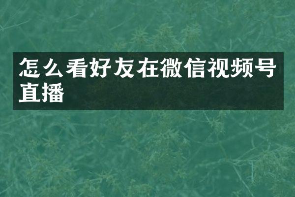 怎么看好友在微信视频号直播