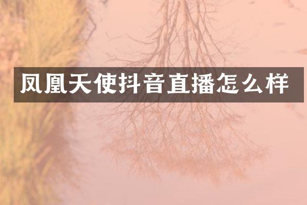 凤凰天使抖音直播怎么样