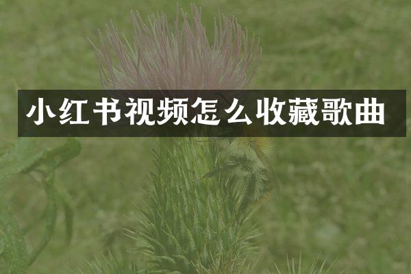 小红书视频怎么收藏歌曲
