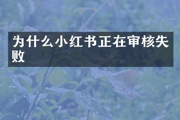 为什么小红书正在审核失败
