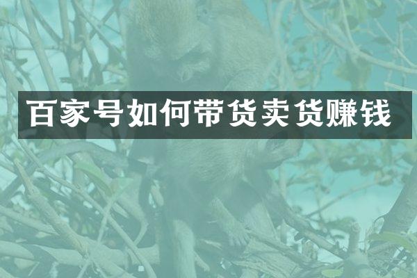 百家号如何带货卖货赚钱