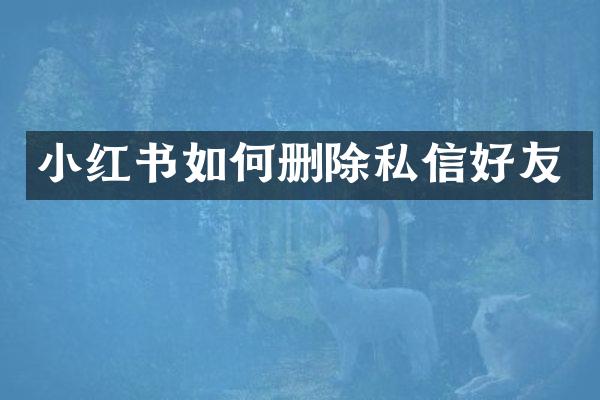 小红书如何删除私信好友