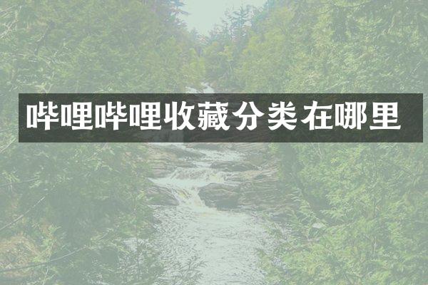 哔哩哔哩收藏分类在哪里