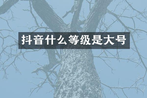 抖音什么等级是大号