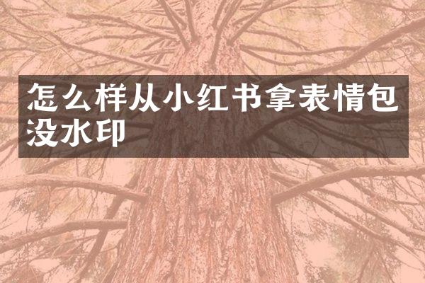 怎么样从小红书拿表情包没水印