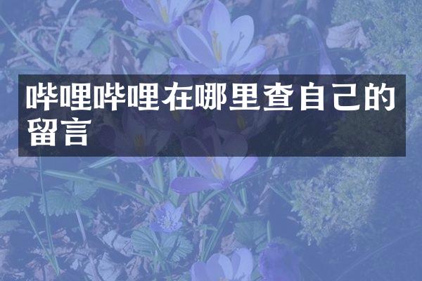 哔哩哔哩在哪里查自己的留言