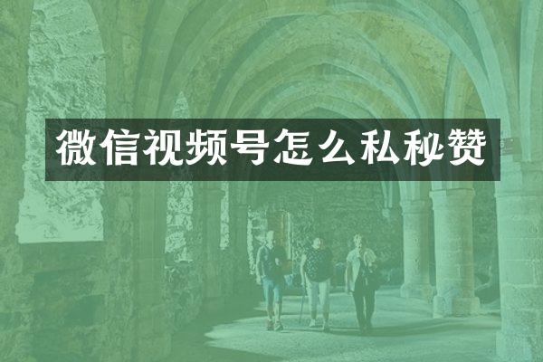 微信视频号怎么私秘赞
