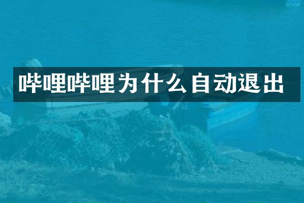 哔哩哔哩为什么自动退出