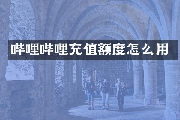 哔哩哔哩充值额度怎么用