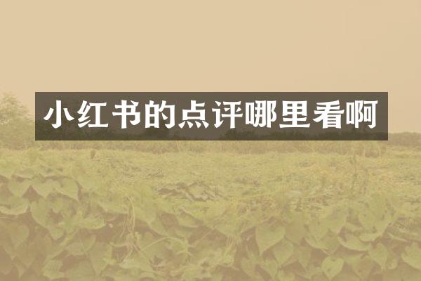 小红书的点评哪里看啊