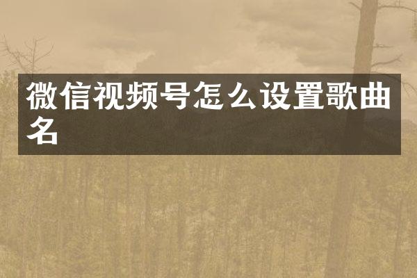 微信视频号怎么设置歌曲名