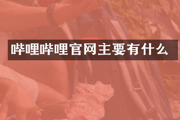 哔哩哔哩官网主要有什么