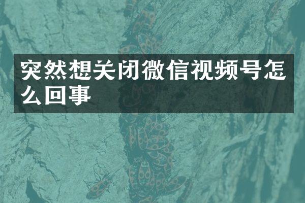 突然想关闭微信视频号怎么回事