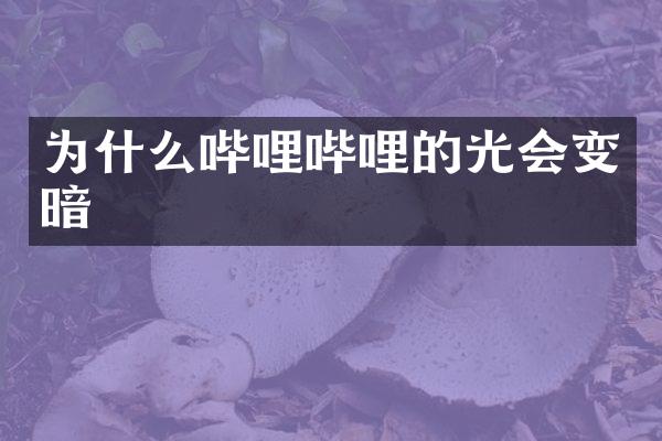 为什么哔哩哔哩的光会变暗