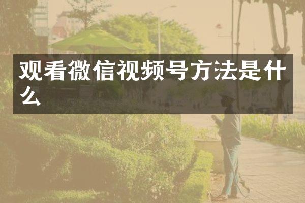 观看微信视频号方法是什么