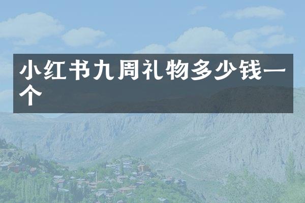 小红书九周礼物多少钱一个