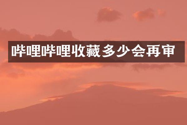 哔哩哔哩收藏多少会再审
