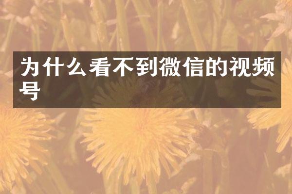 为什么看不到微信的视频号