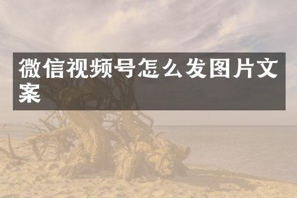 微信视频号怎么发图片文案