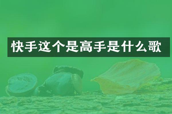 快手这个是高手是什么歌