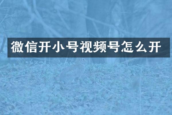 微信开小号视频号怎么开