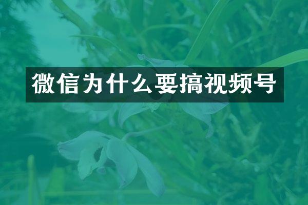 微信为什么要搞视频号