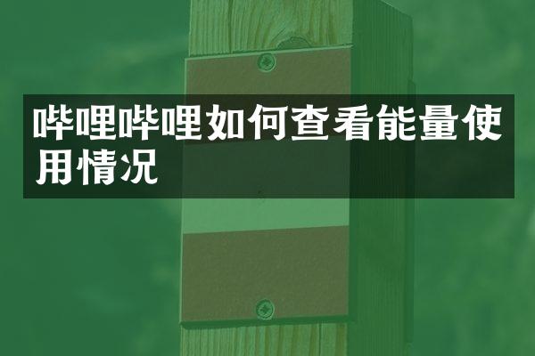 哔哩哔哩如何查看能量使用情况