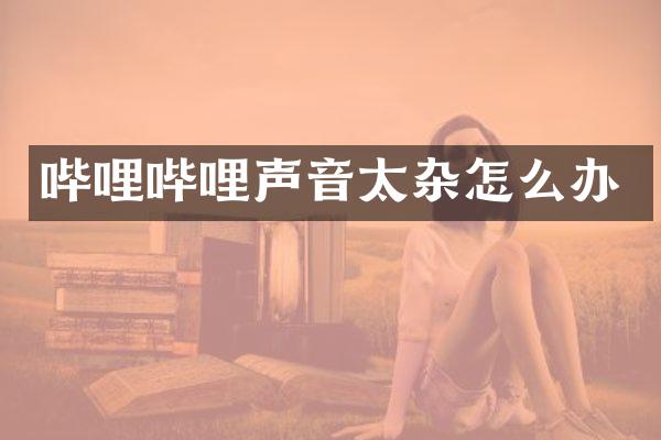 哔哩哔哩声音太杂怎么办