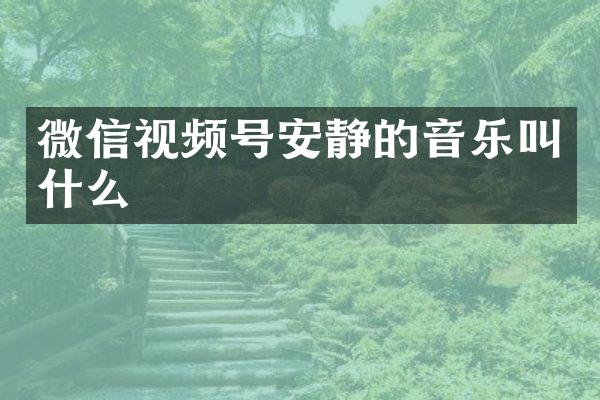 微信视频号安静的音乐叫什么