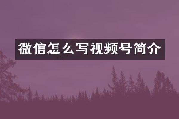 微信怎么写视频号简介
