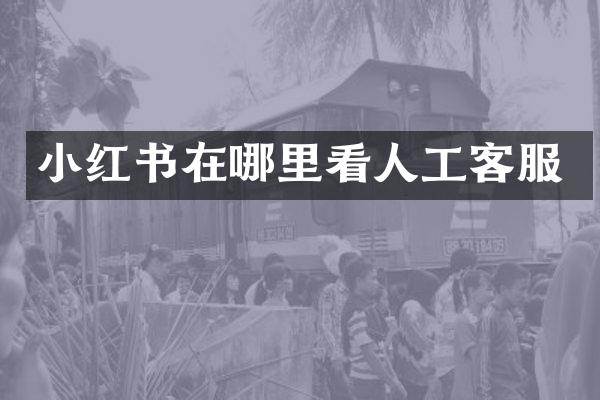 小红书在哪里看人工客服