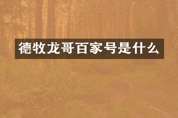 德牧龙哥百家号是什么