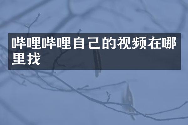 哔哩哔哩自己的视频在哪里找
